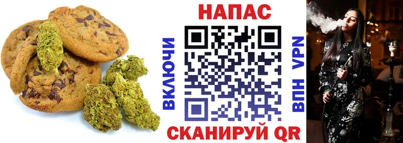 omg как войти  Дзержинск  Cannafood конопля 