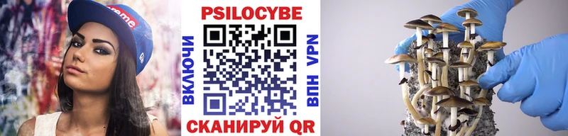 нарко площадка наркотические препараты  Дзержинск  Псилоцибиновые грибы мицелий 