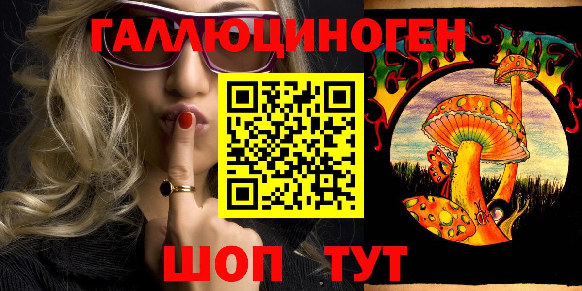 Галлюциногенные грибы Psilocybe  Дзержинск  Псилоцибиновые грибы Psilocybe 