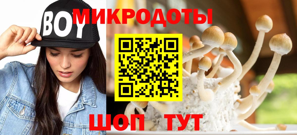 Псилоцибиновые грибы Magic Shrooms Дзержинск