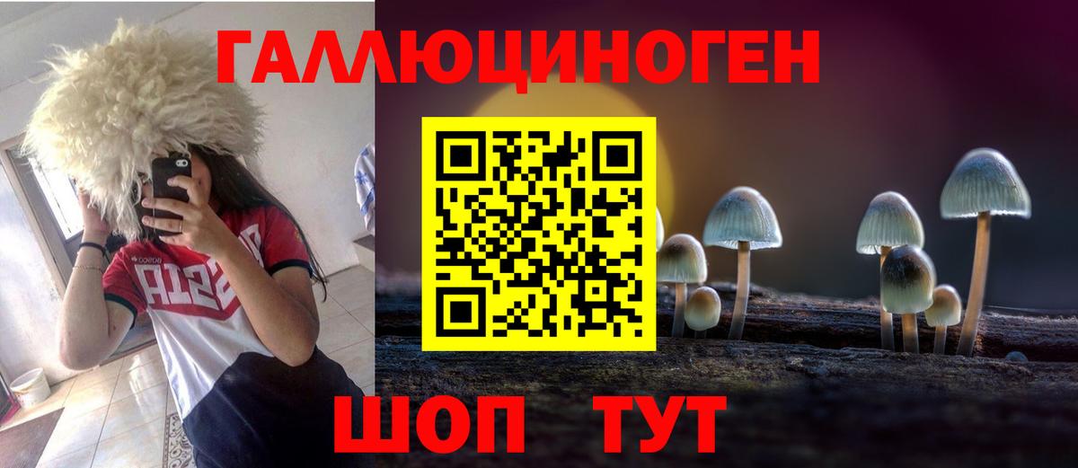 Галлюциногенные грибы MAGIC MUSHROOMS Дзержинск
